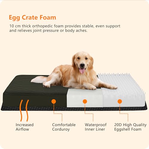 HMTOPE Orthopädisches Hundebett, 10cm Dicke Hundekissen für Mittelgroße Hunde, Grosse Hunde, Abnehmbar und Waschbar Hundematte, rutschfeste Unterseite, Wasserdichtes Innenfutter, 112 cm, Olivgrün