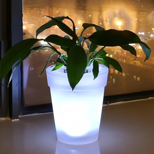 Maceta solar con luz LED exterior que soluciona rincones oscuros 3