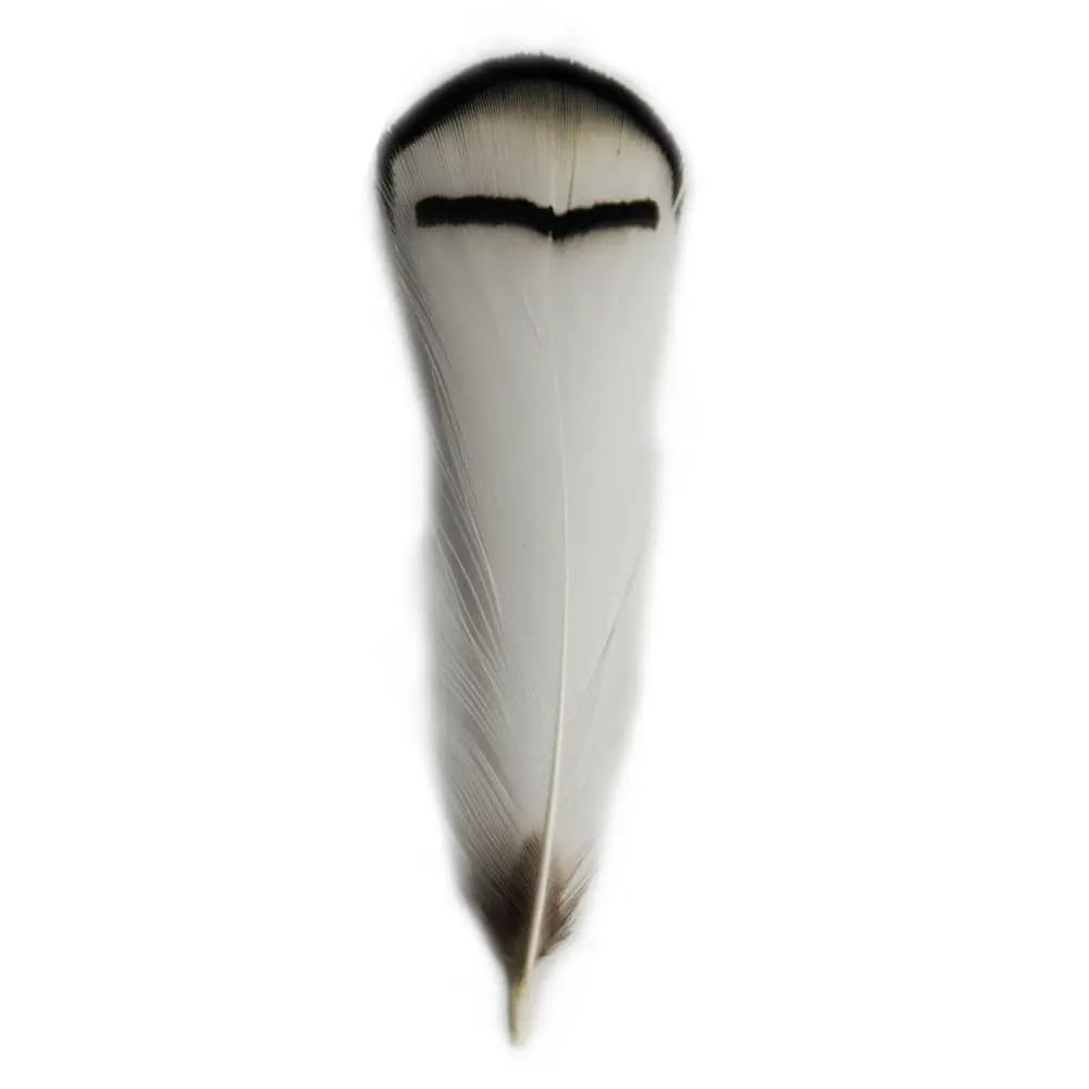 Piume naturali di fagiano, Piume di fagiano naturali realizzate a mano 4-8 cm Confezione multipla artigianale fai-da-te(200 Piece)