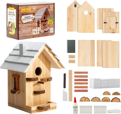 Large Bluebird House for Outside - Build Your Own Bird House - Cedar Wood Craft Kit for Adults & Kids Ages 8-12 - Birdhouse Kit STEM Woodworking Project - Tree Pole Post Wall Moutable