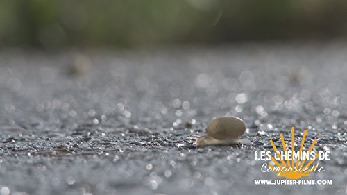 les Chemins de Compostelle DVD – vue 8