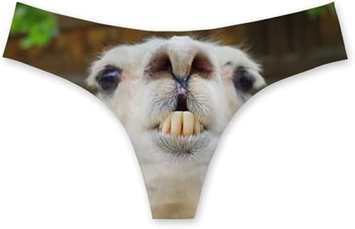 Allhaitong Ropa interior divertida para mujer, sexy, transpirable, de corte alto, tiro bajo, hipster atrevido S-3XL