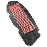 Dobest Filter Motorcycle air Filter is Used for 17230-MCT-000 for Honda FSC600A 2002-2013 for Honda