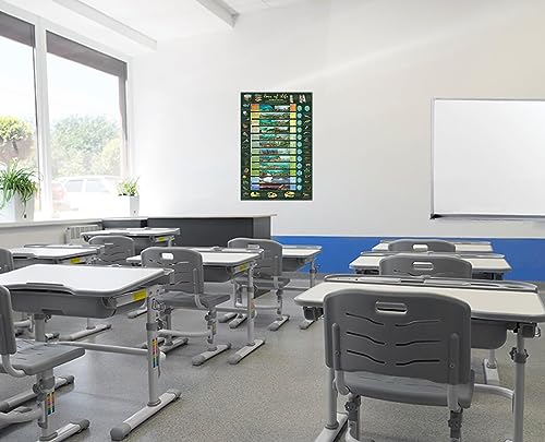 ERAS of Life Poster 24x36 Illustrated Geological Chart New Edition! Art Poster Print, 24x36