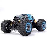 Lihgfw Super große Fernbedienung Off-Road-Fahrzeug 1/8 Maßstab verformbar Twisting Auto Spielzeug Allradantrieb Klettern Rennwagen Aufladbarer Junge (Color : Blau, Größe : 2 Batteries)