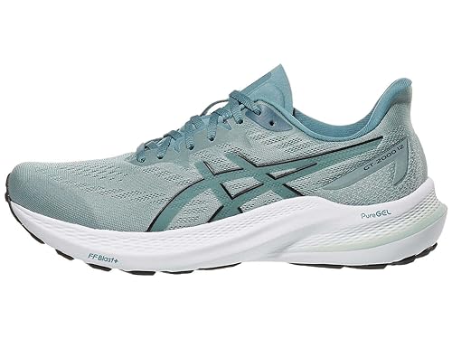 Asics Men's GT-2000 12 Running Shoe