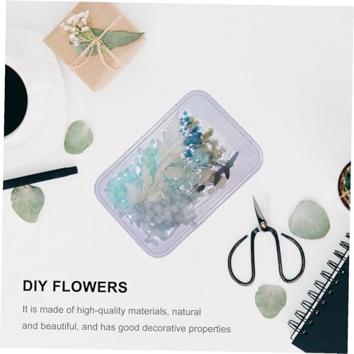 Set natural de flores secas prensadas para arte DIY miniatura 4