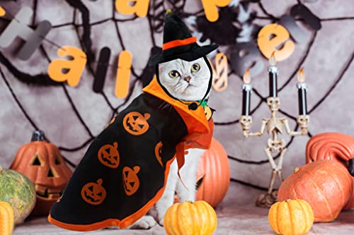 Disfraz de Halloween para gato con capa y gorro de bruja miniatura 5