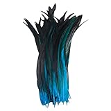 LYKD 100 Stück natürliche Hähnchen, Verschiedene Bastelarbeiten, DIY-Bastelcollagen for DIY-Traumfänger, Haarkostüme, Hüte, Bastelarbeiten, Partys, Heimdekoration (Color : Blue)