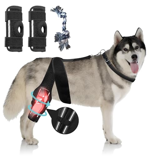 K2QUALITY - Large Dog Support Brace - ACL, Hip Dysplasia & Luxating Patella Care