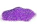 VViViD Prisma65 Glitter Neon Purple Pigment Powder 15g