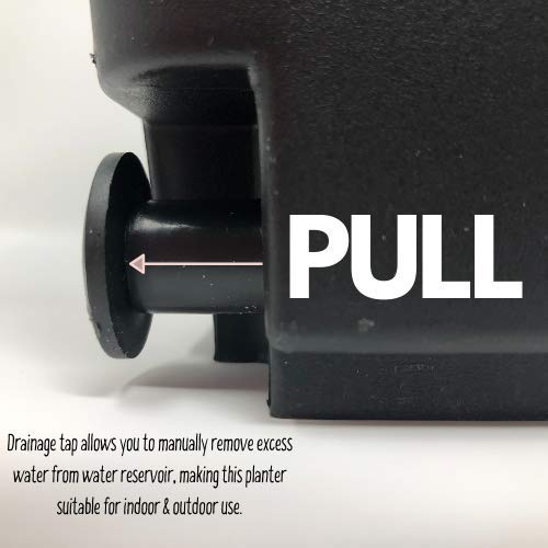 Watex Mobile Green Wall, Self-Watering Planters, Indoor Gardening (Single Frame, Black) #TOP2