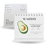 Newborn Nest Pregnancy Calendar for Expecting Mothers - Weekly Baby Growth Tracker with Fruit & Vegetables, Quotes & Development Facts | 72-Page Flip Calendar | Pregnancy Gifts for First Time Parents