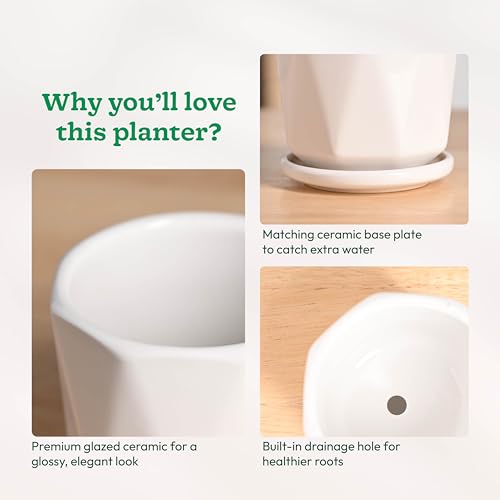 Image of UGAOO Diamond Ceramic Pot |Indoor Ceramic Planter for Home, Office, Garden, Balcony - White (4 Inch)