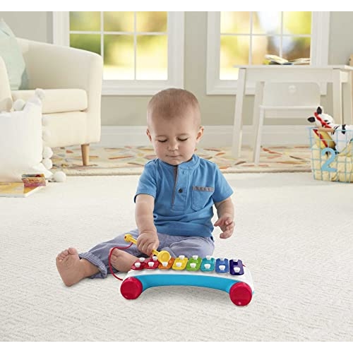Fisher-Price Brinquedo para Bebês Novo Xilofone para crianças a partir de 18 meses