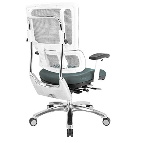 Office Star Pro X996 Fully Adjustable Manager's Office Chair With Lumbar Support, White Mesh Back, Polished Aluminum Base And Grey Mesh Seat #TOP5