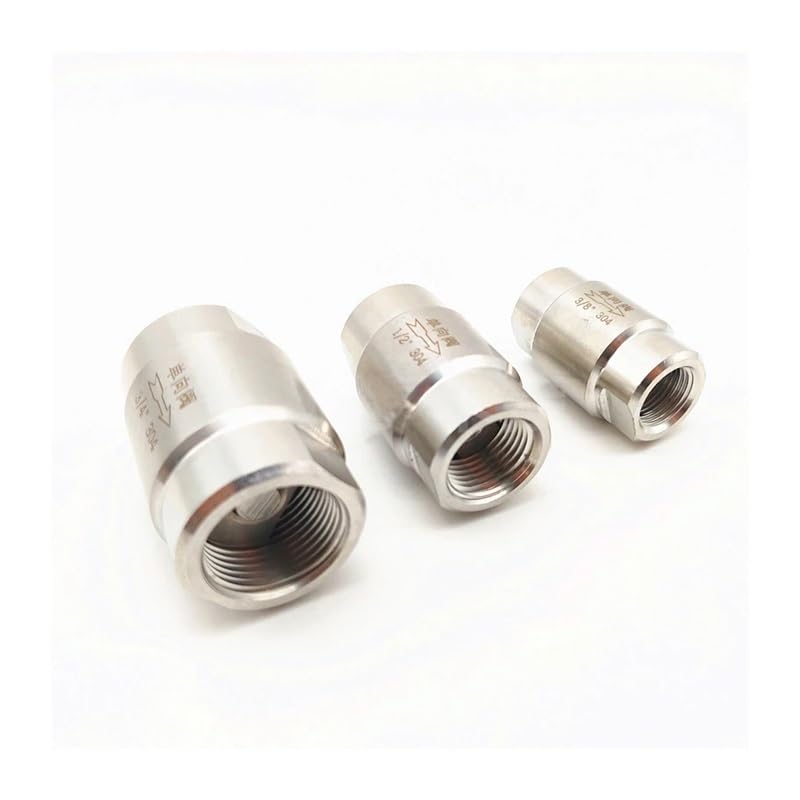 Clapet anti-retour 3/4" en acier inoxydable 304 de haute pression 6,4 Mpa pour tuyauterie