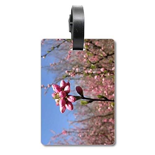 Étiquette de bagage valise printemps fleur bourgeon en carton rigide pour voyage