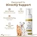 Keto Skin Relief Mousse for Dogs & Cats – 2% Chlorhexidine & 1% Ketoconazole – No-Rinse, Non-Greasy Mousse for Itchy, Dry, or Irritated Skin – Soothing Aloe, Easy Application - 7 fl oz