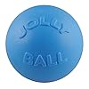 Jolly pets bounce n play dog toy ball 8 incheslarge blueberry model 2508 bb  urban country home decor