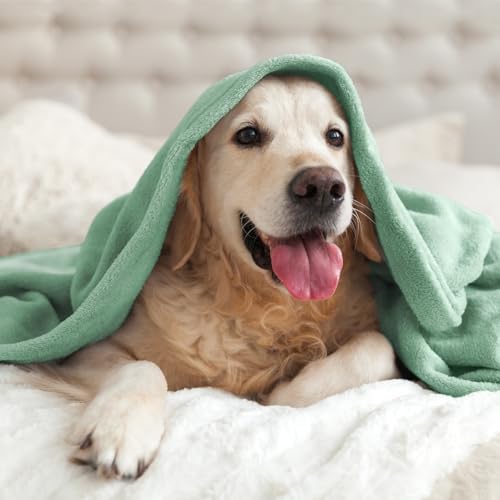 Image of BEDELITE Fleece Blanket Dusty Green Throw Blankets for Couch & Bed, Luxury Plush Cozy Fuzzy Blanket 50 inch x 60 inch, Super Soft Warm Lightweight Throw Blanket for Travel Camping