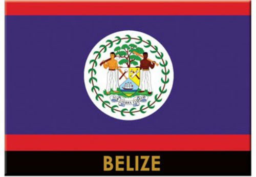 World By Shotglass Belize Flag Caribbean Fridge Collector's Souvenir Magnet 2,5" x 3,5"
