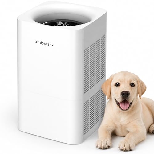 Ambersky Air Purifier for Home, True HEPA Filter for Large Room Up To 2500 Sq Ft, Sleep Mo - image 1