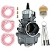 Carbpro 2 Stroke Engine Carburetor Replacement for Polaris Xplorer 250 2000 2001 2002 Trail Blazer 250 1990-2006 2 Stroke