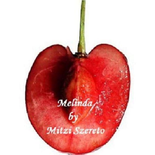 Page de couverture de Melinda (a short story) Audiobook by Mitzi Szereto