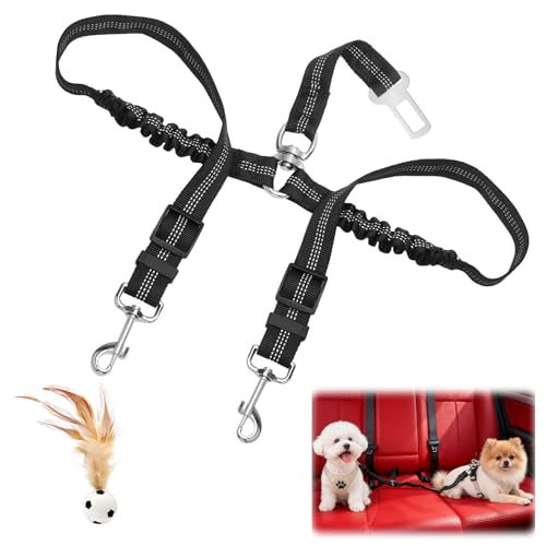 Cinturon Coche Perro 2 en 1,Correa de Seguridad Ajustable y elástica para Dos Perros con Gancho Giratorio 360° y diseño Amortiguador, Compatible con Asiento Trasero y Maletero