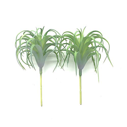 Ebuyom 2 Pcs Artificial Succulents Plants Real Touch Lifelike Succulants Plants Faux Greenery Plants Garden Diy Home Office Decoration Ornament (Air Plant) #TOP2