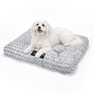 Skylos Small Dog Bed, 7cm Thick Fluffy Plush Orthopedic Dog Bed for Joint Support, Washable Dog Bed with Non-Slip Bottom, Grey, 60x45x7cm