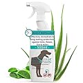 HUNDEPFLEGE24 insect & flea spray for dogs, cats & home 500ml - Highly effective against fleas, ticks, mites, lice & mosquitoes with Geraniol + Aloe Vera - insect & flea treatment for house & animal