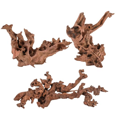 redfeiyang Natural Driftwood Pieces for Aquarium Decor, 7.8”-11.8” 3 Pcs Assorted Wood Branches for Fish Tank Decoration,Reptile Tank Wood Decor, Low Tannin, Safe Aquarium Wood for Fish and Shrimps