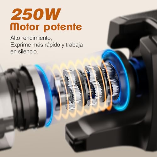 Exprimidor masticable lento fretta, tanque de alimentación grande de 135 mm, adecuado para frutas y verduras enteras, exprimidor automático fácil de limpiar, sin bpa, 250 vatios, acero inoxidable - imagen 7