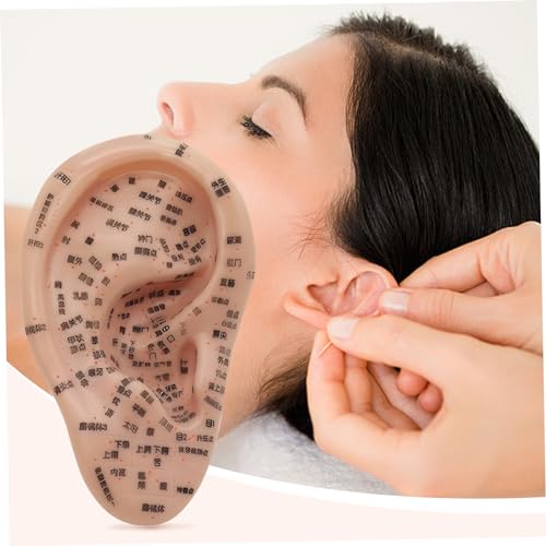 Semillas de oído para reflexología: kit de acupuntura con modelo de oreja 6
