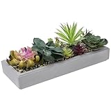 Mixed Color Artificial Succulent Plant Arrangement in Modern 16-Inch Gray Clay Planter Tray