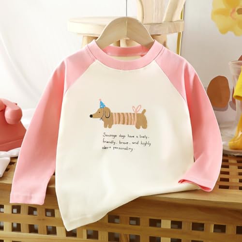 Long Sleeve T-Shirts for Toddler Kids Boys and Girls 3 Packs Sets4