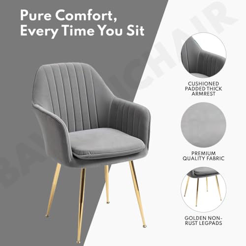 Image of Velvet Chair for Home | Modern Accent Armchair in Soft Velvet Fabric with Golden Legs | Set of 2 Premium Accent Chair for Living Room Bedroom Restaurent | (Grey N /A, Standard)