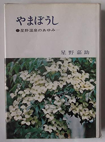 やまぼうし 星野温泉のあゆみ 411cJer-6qL.jpg
