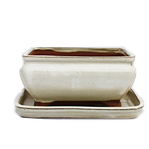 Exotenherz Bol à bonsaï avec soucoupe taille 2 - beige clair - carré - modèle G81 - L 14,5 cm - l 11,5 cm - H 6,5 cm