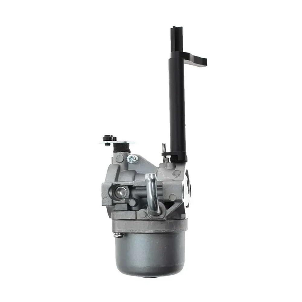 Carburador Apto para quitanieves Briggs 696132
