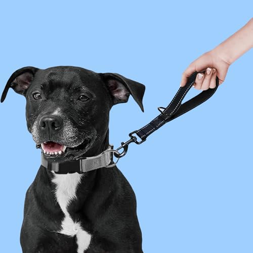Kurzführer Hund 30cm, Hundeleine kurz mit Metallclip und Weiche Polsterung, Reflektierend Nylon Hundeleine Geeignet für Mittlere Große Hunde(Orange,S)