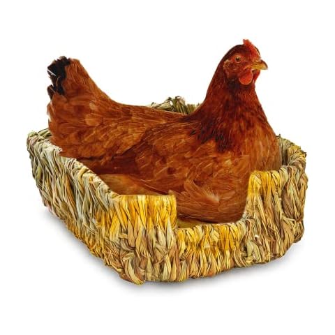 Cama portátil SunGrow para animales pequeños con césped natural Cover