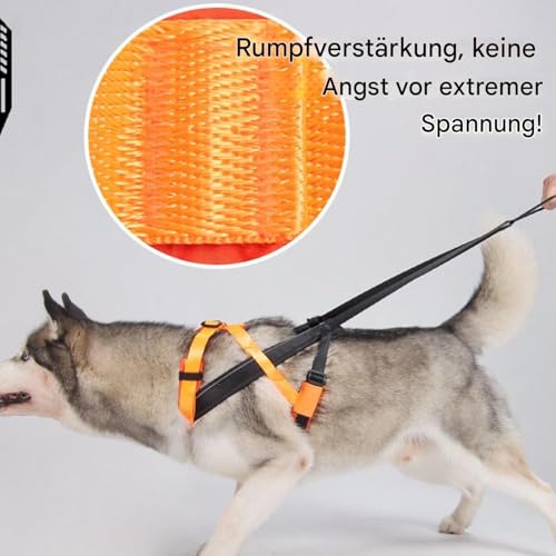qixeuoa Zughundegeschirr - Reflektierendes Laufgeschirr Für Hunde,Bequemes Verstellbares Zugseil Für Training Joggen Schlittenziehen Sport