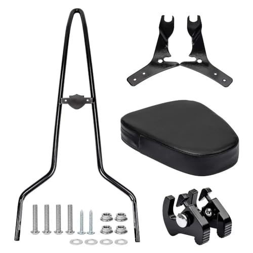 Dossier passager arrière moto pour Touring et Electra Glide 2009-2023