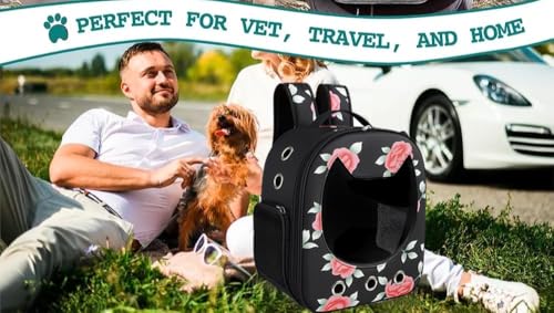 Image of Risan Pets Pet Backpack Transparent Cat & Small Dog Puppy Kitty Shihtzu Carriers for Breathable Airline Travel Approved Air Ventilation Backpack Size 16 x 13 x 9 inch (Mighty Black)