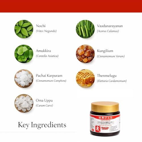 Image of Japanese Formula Soothing Massage Gel for Joint & Muscle Pain Relief - Arnica, Mugwort, Hyaluronic Acid - Back, Neck, Knee & Leg Massage Balm - 100% Herbal Fast Absorption Formula