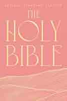 ビンテージ　HOLY BIBLE 聖書　2冊セット ビンテージ HOLY BIBLE 聖書 2冊セット ビンテージ HOLY BIBLE