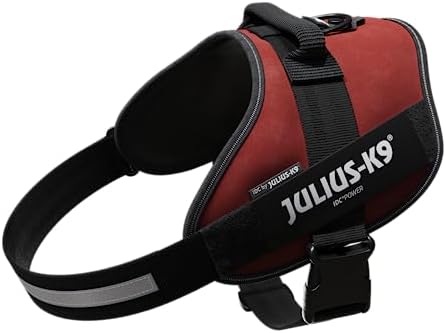 Julius-K9, 16IDC-P-B2, IDC Powerharness, dog harness, Size: Baby 2, Black